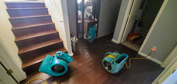 Reliable Bolingbrook, IL Water damage restoration Solutions