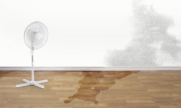 Best Ceiling water damage repair  in Bolingbrook, IL