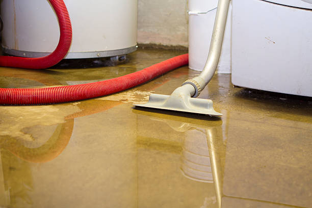 Best 24-hour water damage restoration  in Bolingbrook, IL