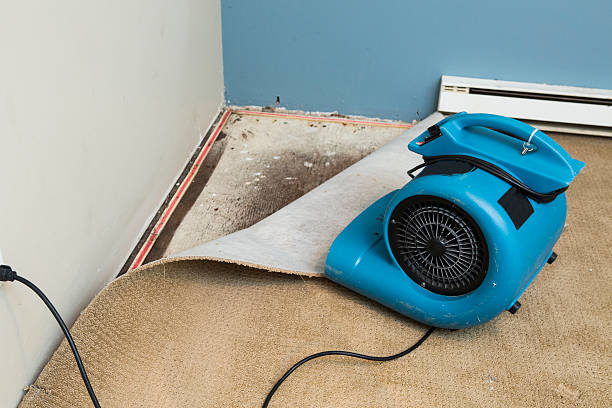Best Carpet water damage restoration  in Bolingbrook, IL